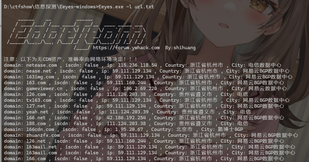 eeyes扫描